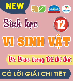 Sinh học Vi sinh vật và Virus (VD_VDC)